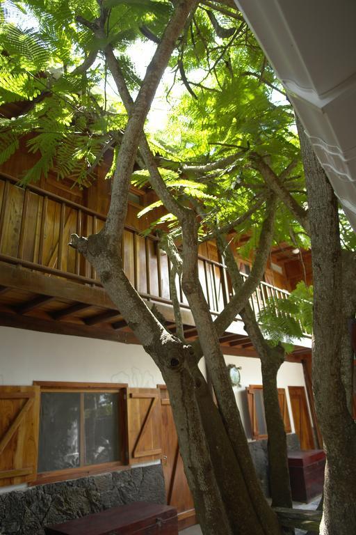 The Wooden House Hotel Пуерто-Вільяміль Екстер'єр фото